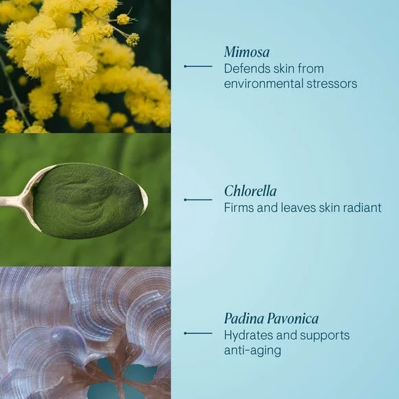 ELEMIS Pro-Collagen Marine Cream, 30ml New - Picture 4 of 8